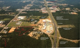 FM 3083 (Teas Nursery Road) Mixed Use Development Tract