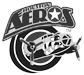 Houston Aeros Hockey