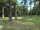 Another view