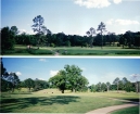 Golf Course while in operations