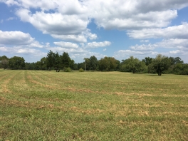 18.634 acre College Street Property