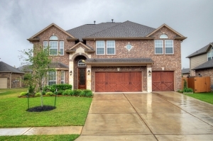 3590 Rock Daisy