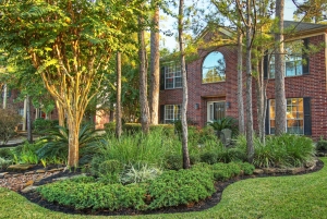 11 East Twinberry Place
